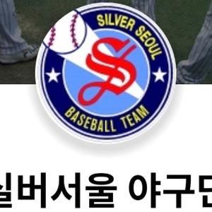 팀 로고