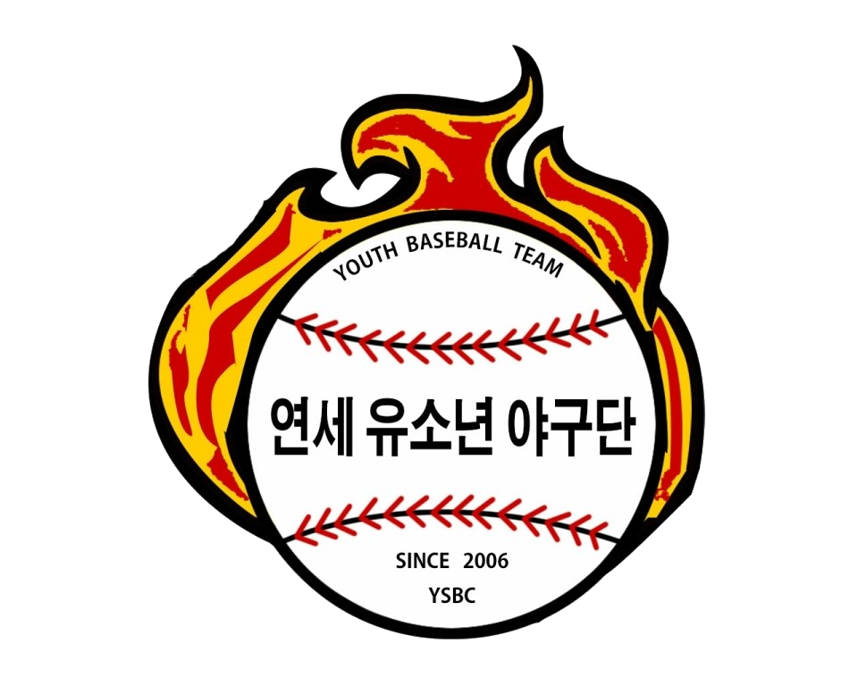 팀 로고
