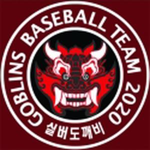 팀 로고