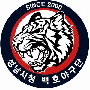 팀 로고