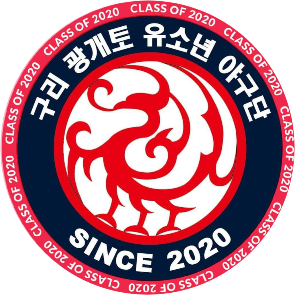 팀 로고
