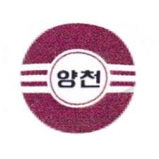 팀 로고