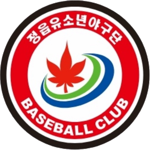 팀 로고