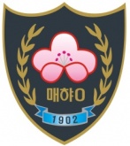 팀 로고