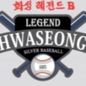 팀 로고